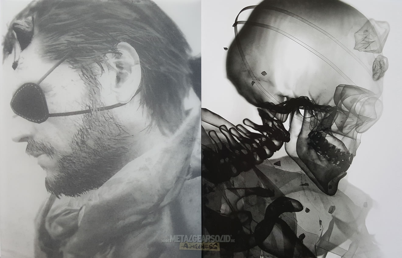 Artwork de Metal Gear Solid V : The Phantom Pain