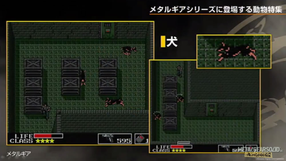 Kojima Station : Les animaux dans Metal Gear (Solid)