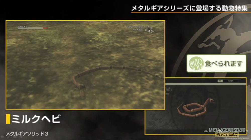 Kojima Station : Les animaux dans Metal Gear (Solid)