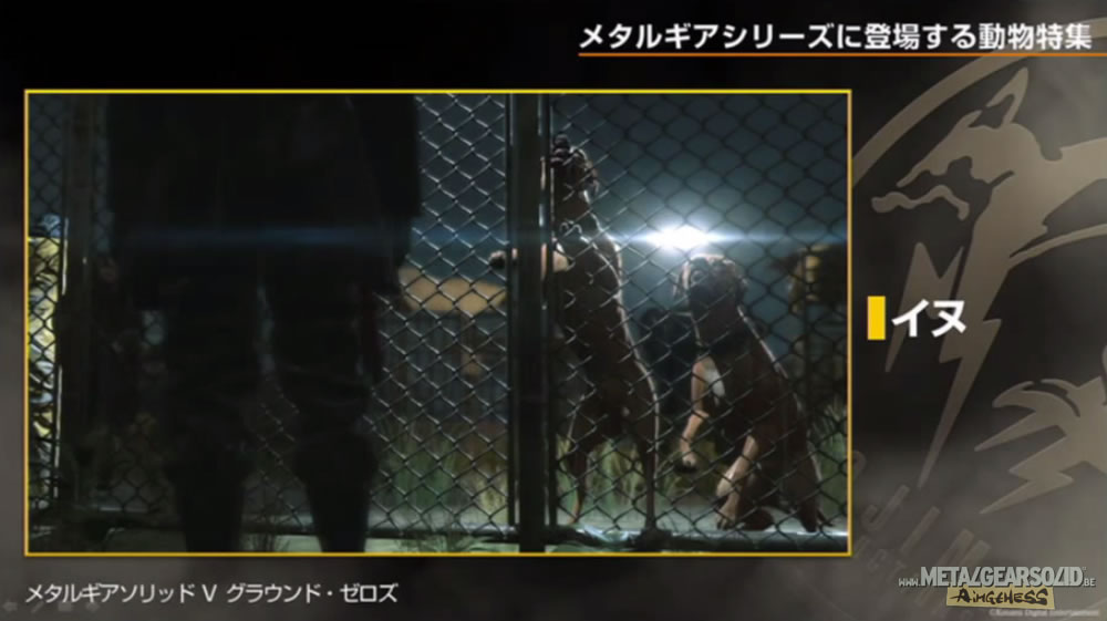 Kojima Station : Les animaux dans Metal Gear (Solid)