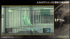 Kojima Station : Les animaux dans Metal Gear (Solid)