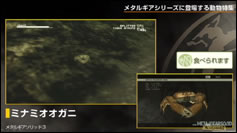 Kojima Station : Les animaux dans Metal Gear (Solid)