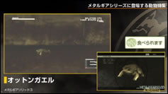 Kojima Station : Les animaux dans Metal Gear (Solid)