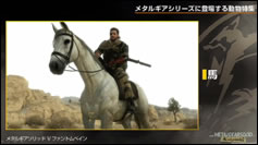 Kojima Station : Les animaux dans Metal Gear (Solid)