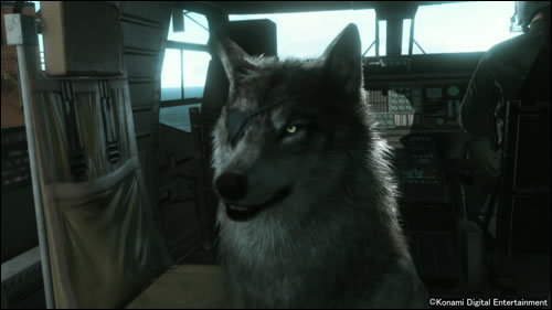 DD, le chien de Big Boss, s'illustre en images